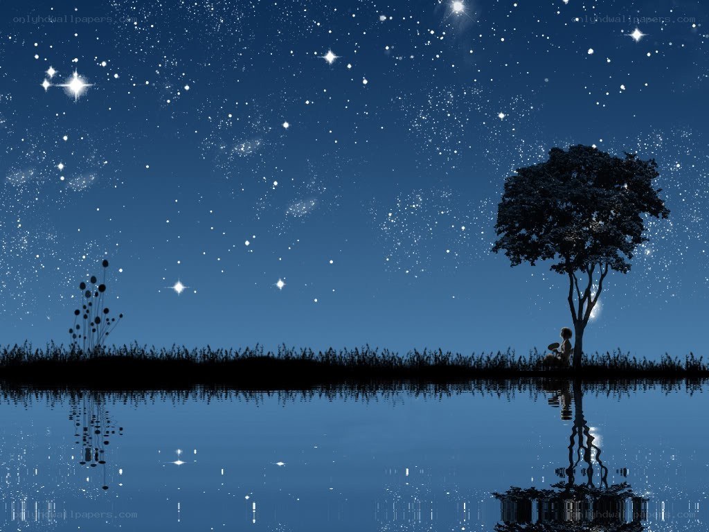 Starry night by the lake