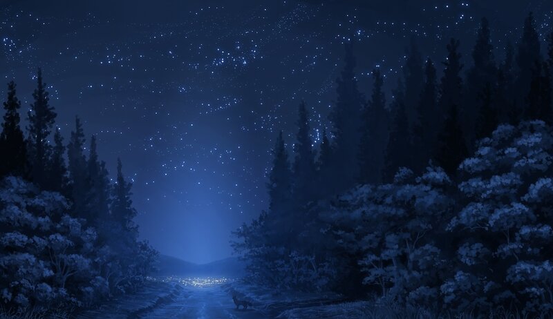 Starry night forest path