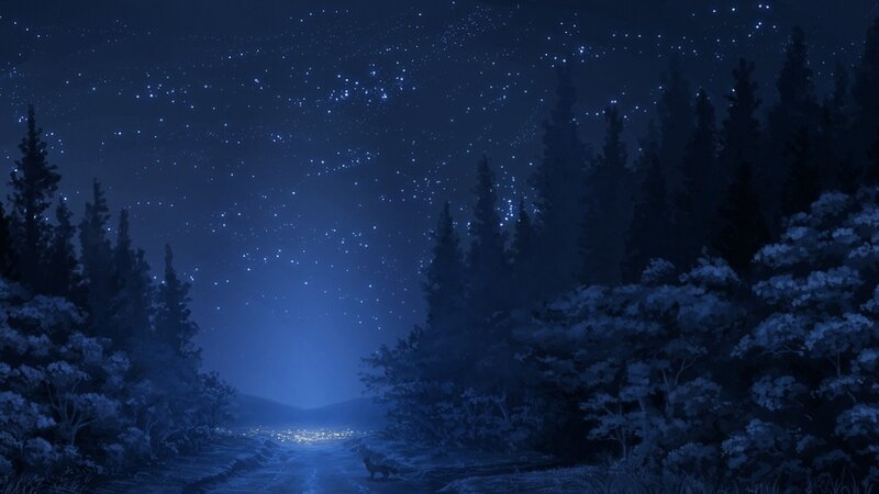 Starry night forest path