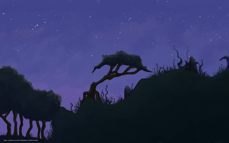 Starry night landscape