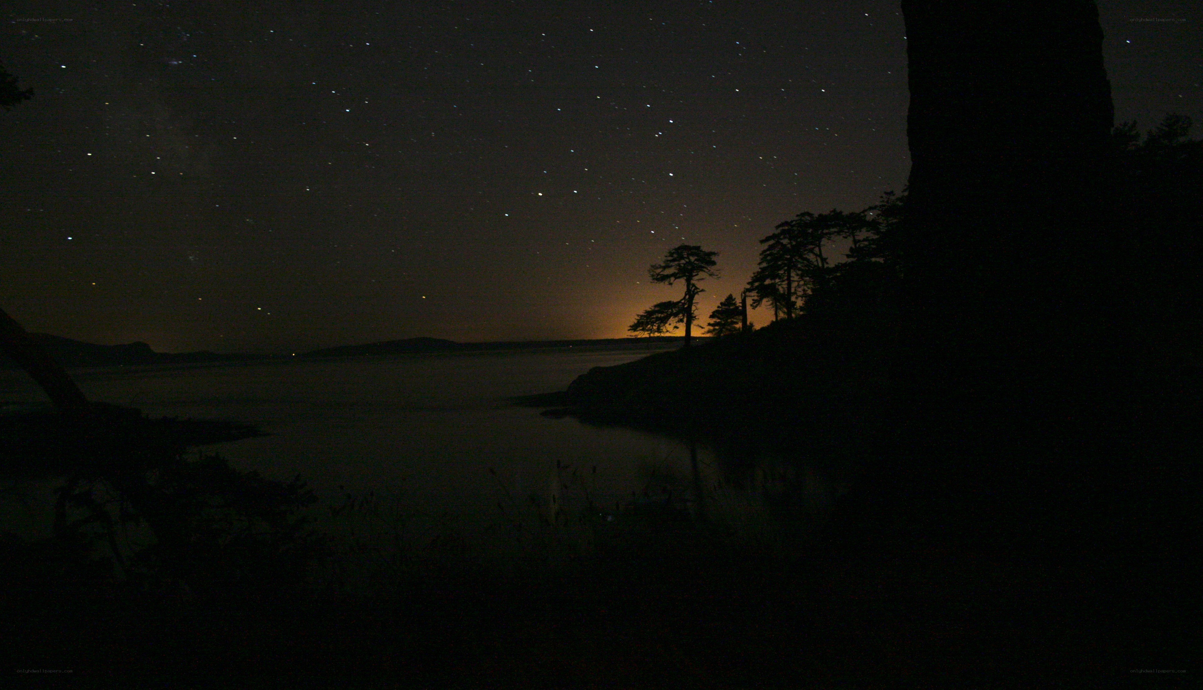 Starry night over a calm bay