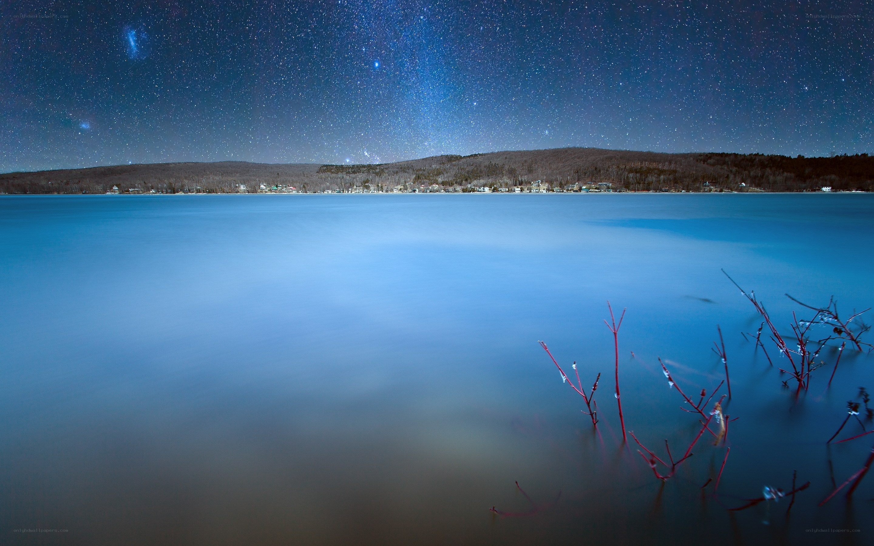Starry night over a calm lake