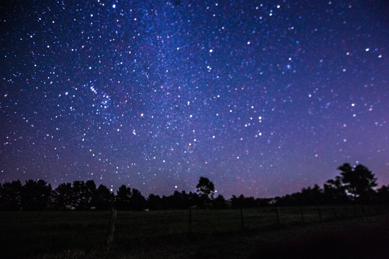 Starry night over a field