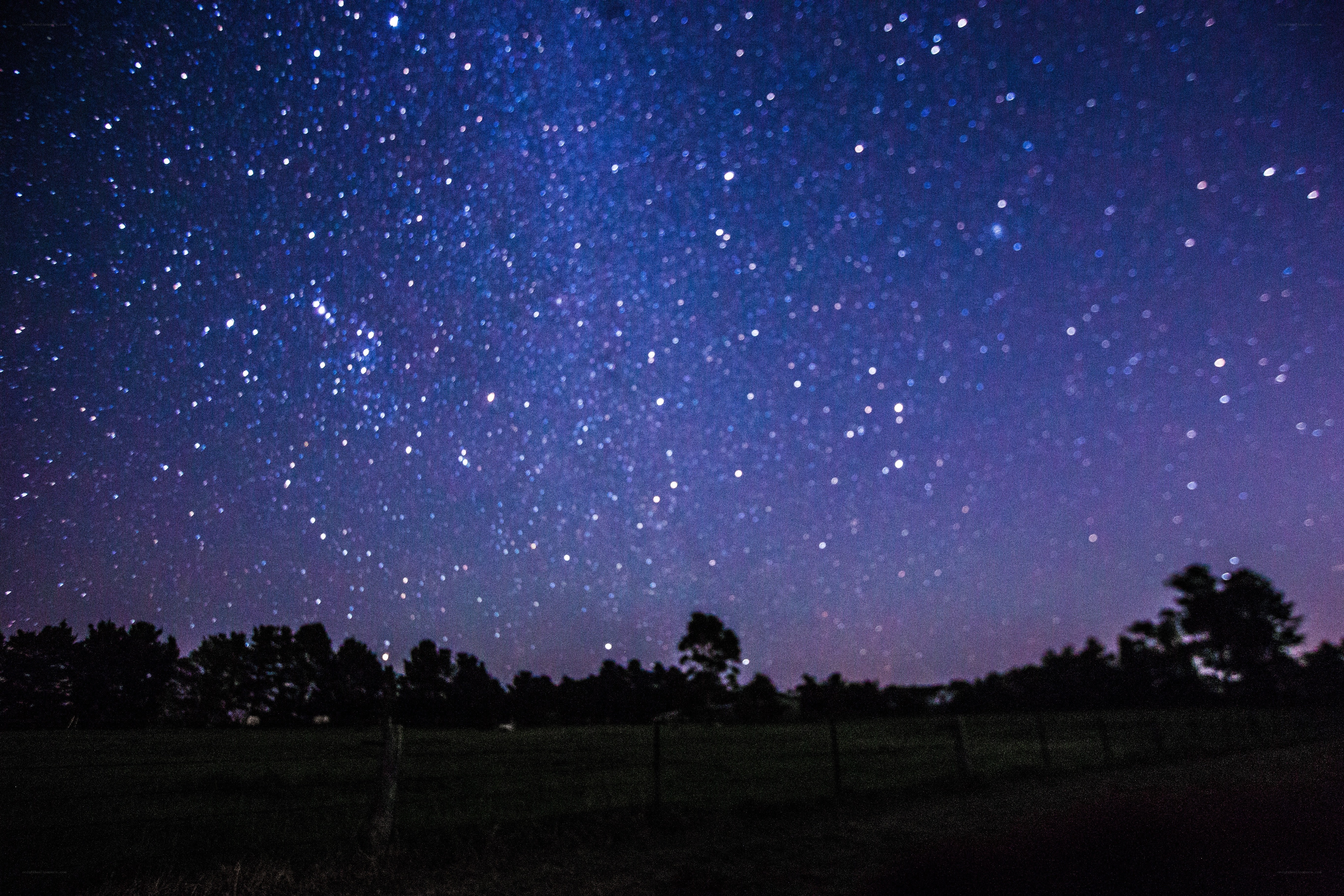 Starry night over a field