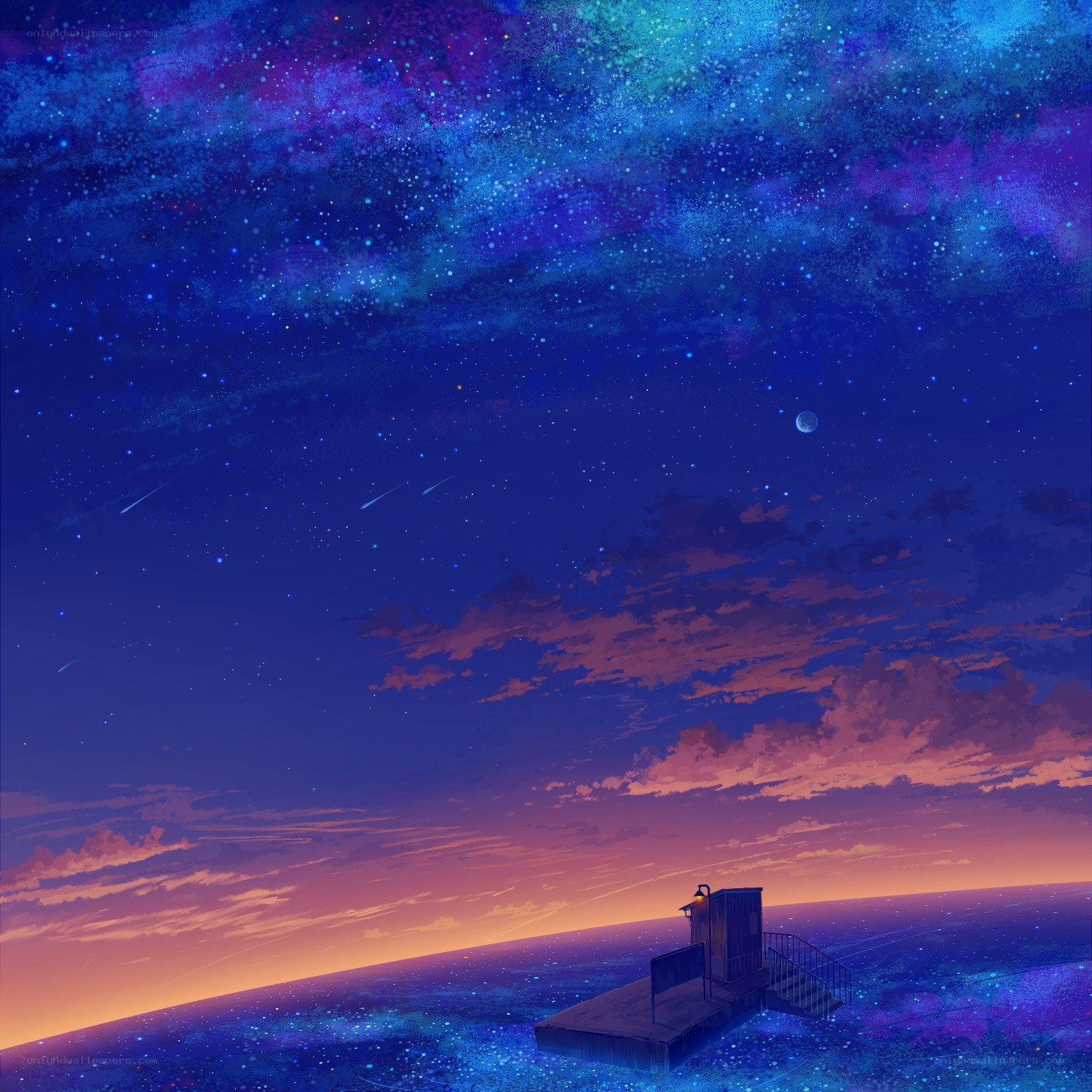 Starry night over a floating dock