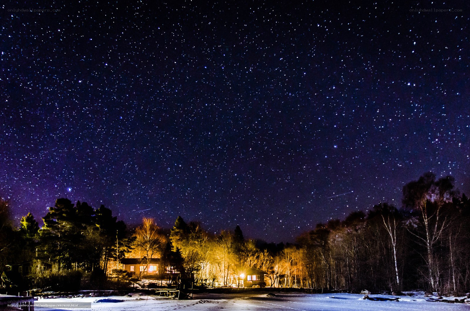 Starry night over a forest cabin