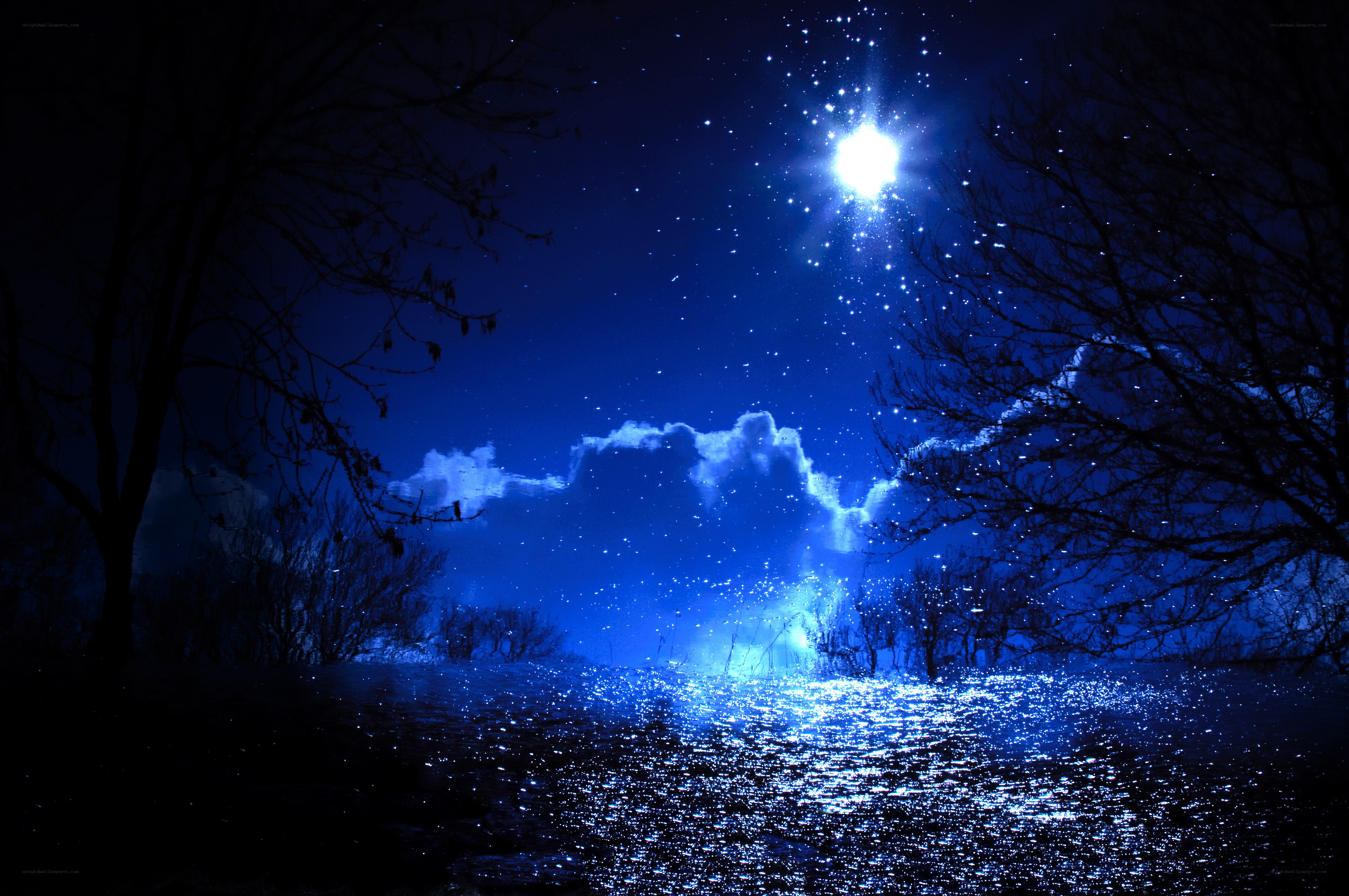 Starry night over a glowing lake