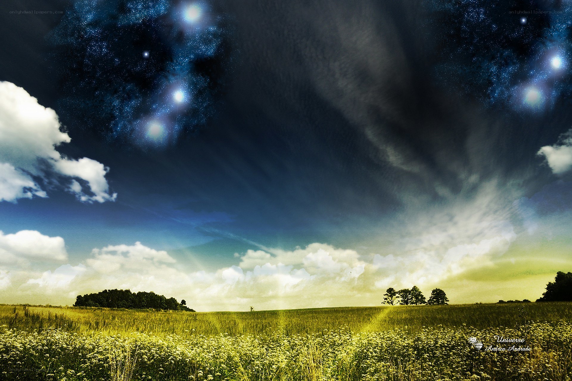 Starry night over a green field