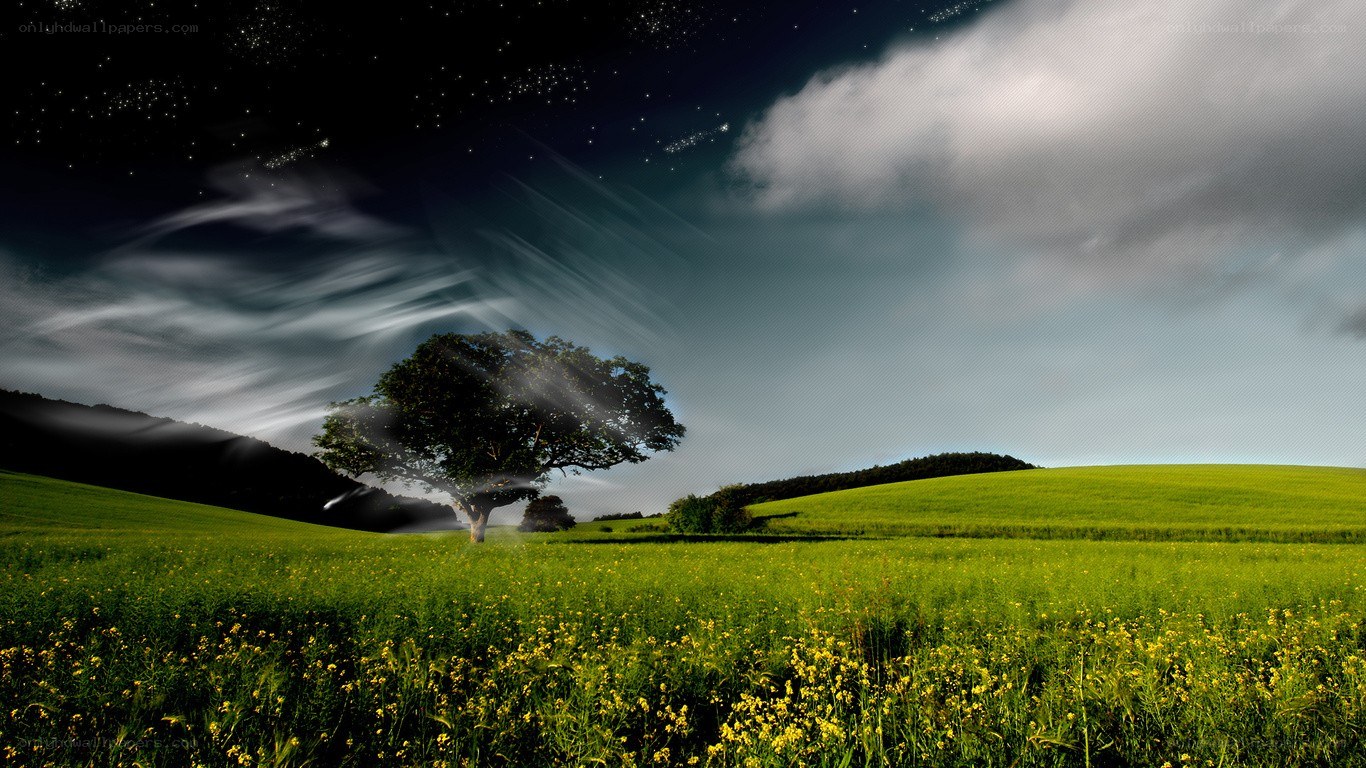 Starry night over a green field