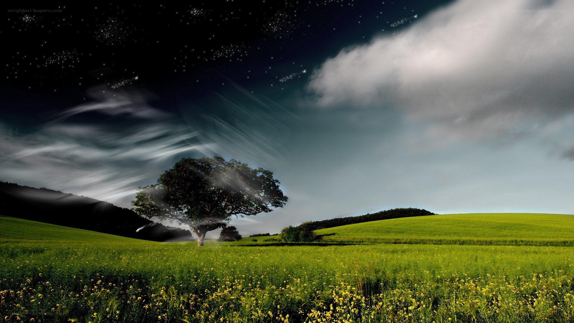 Starry night over a green field