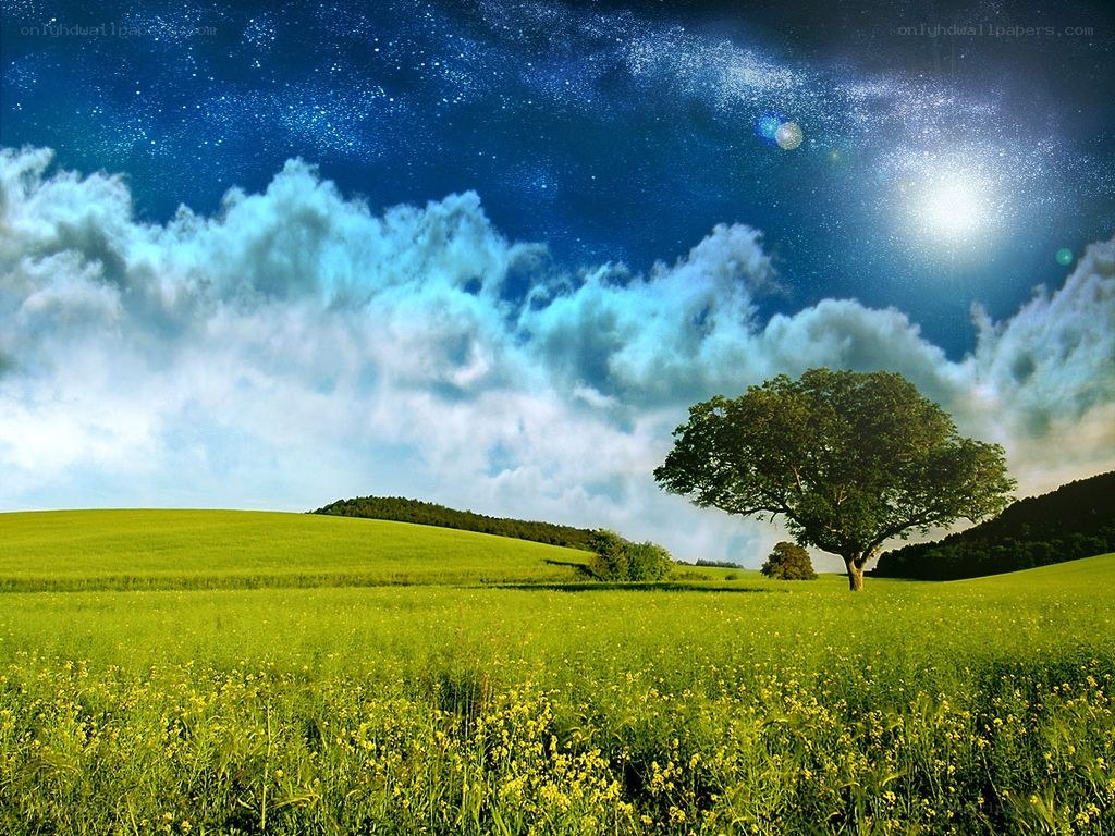 Starry night over a green field