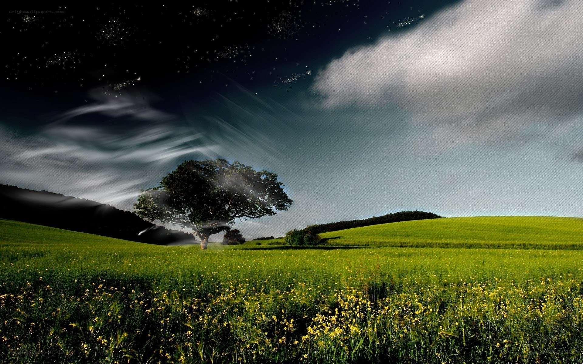 Starry night over a green field