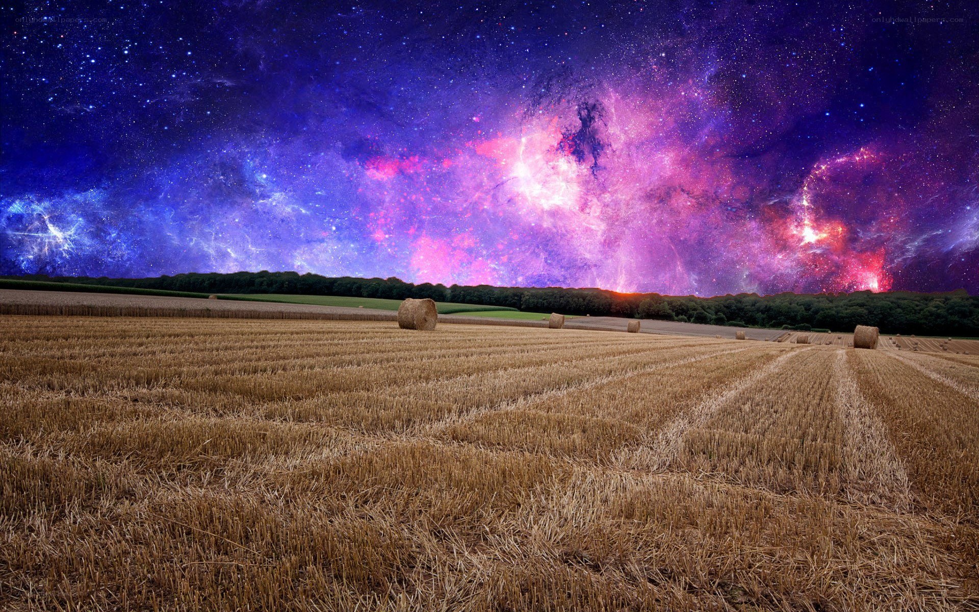 Starry night over a harvested field