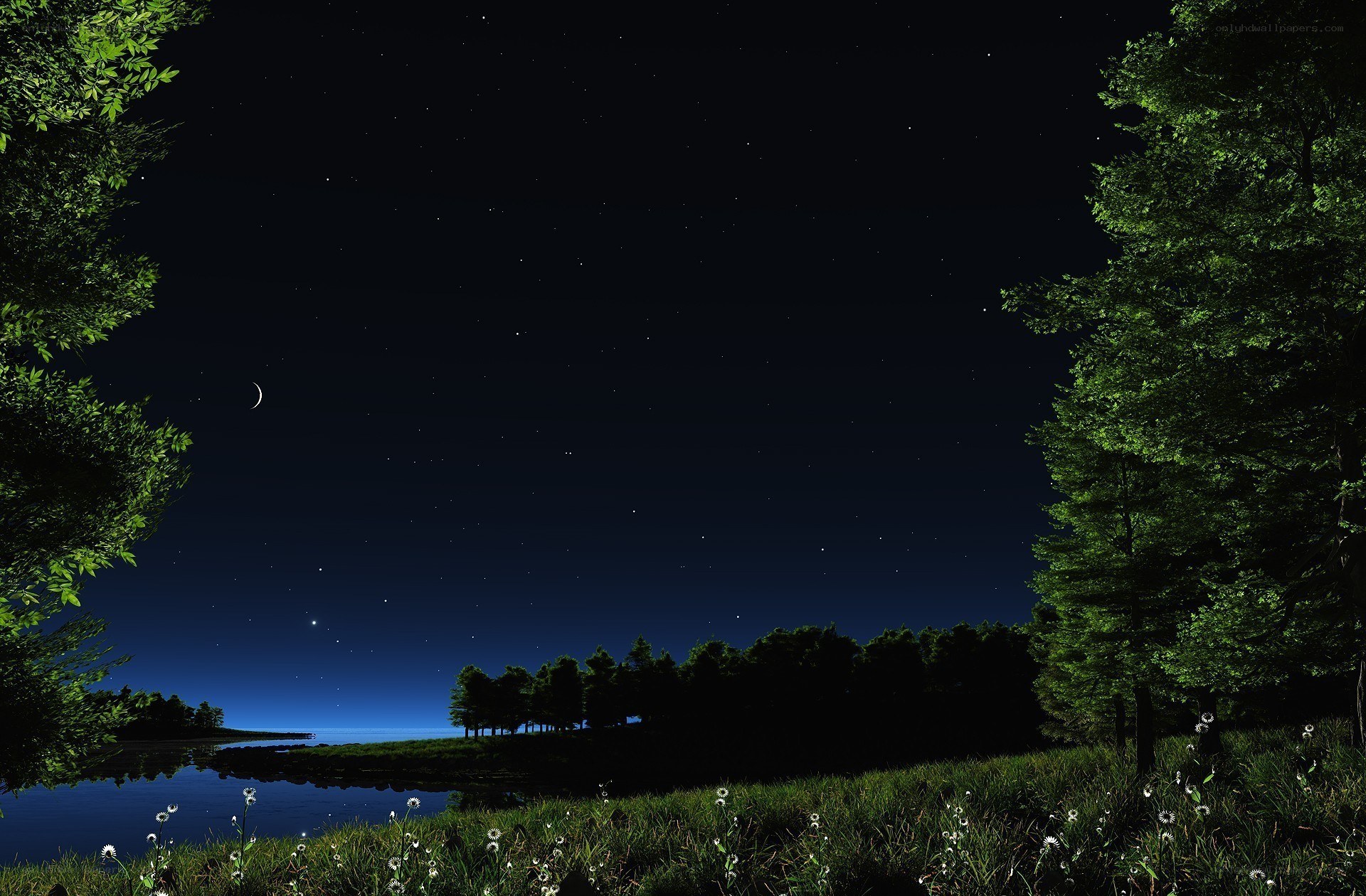 Starry night over a lake