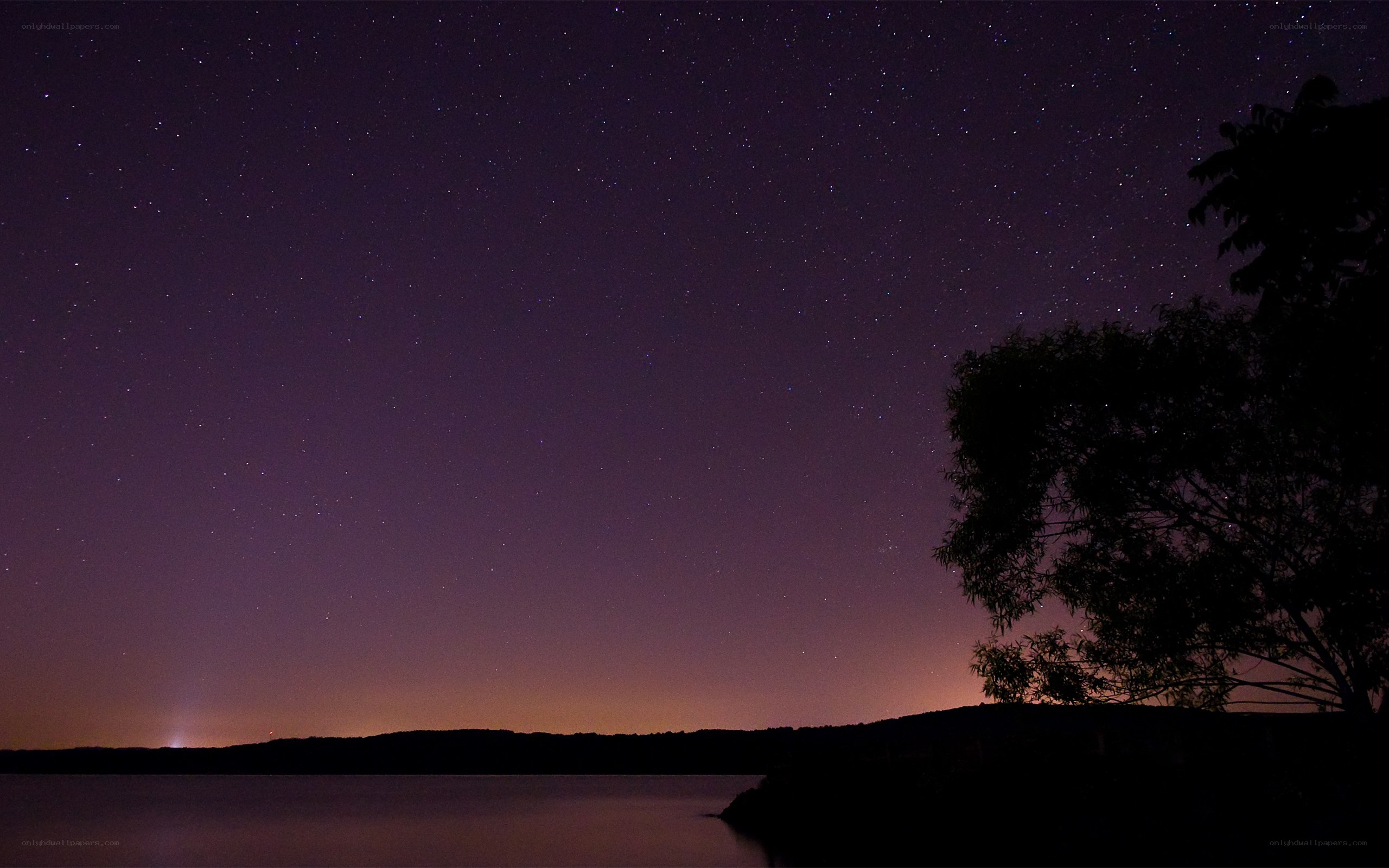 Starry night over a lake