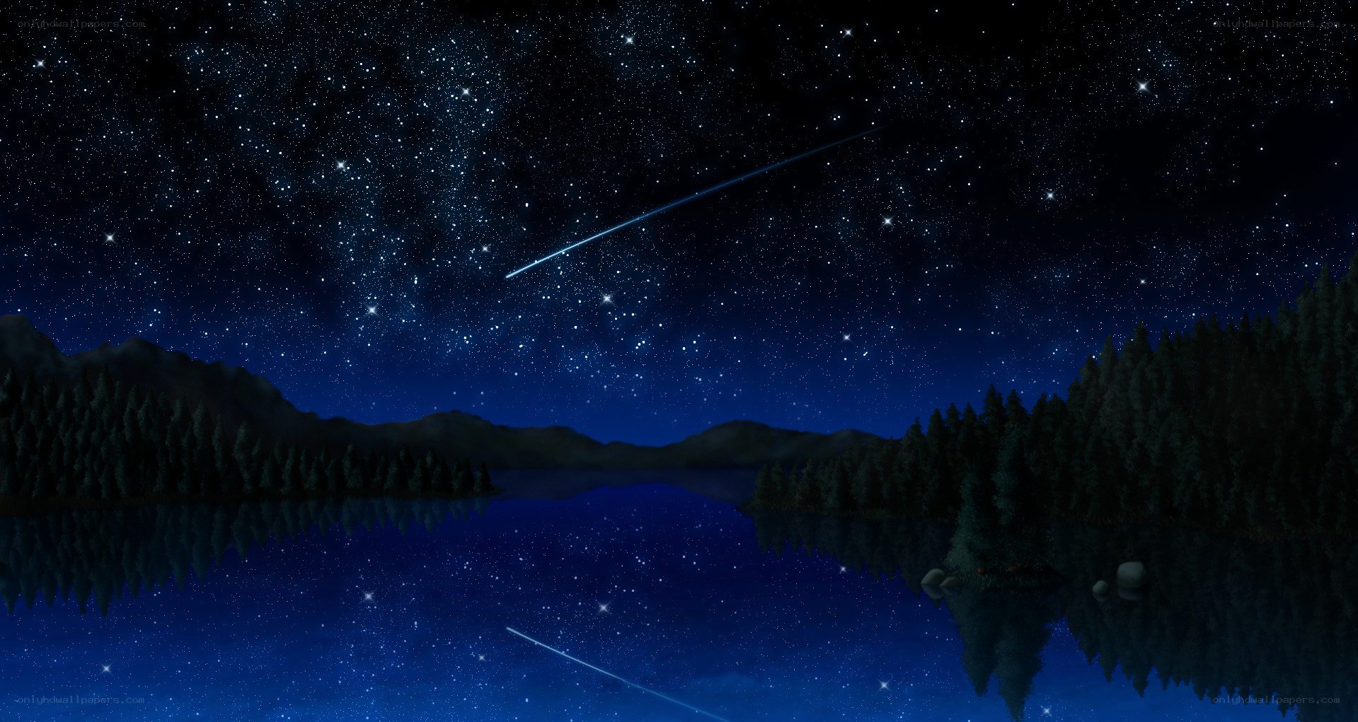 Starry night over a lake
