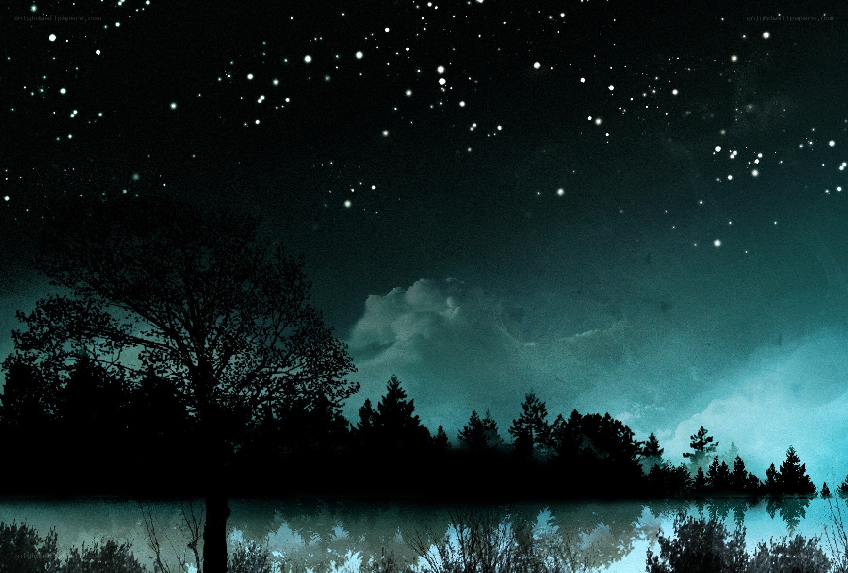 Starry night over a lake
