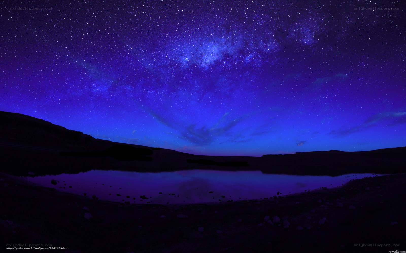Starry night over a lake