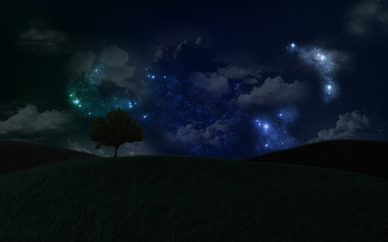 Starry night over a lone tree