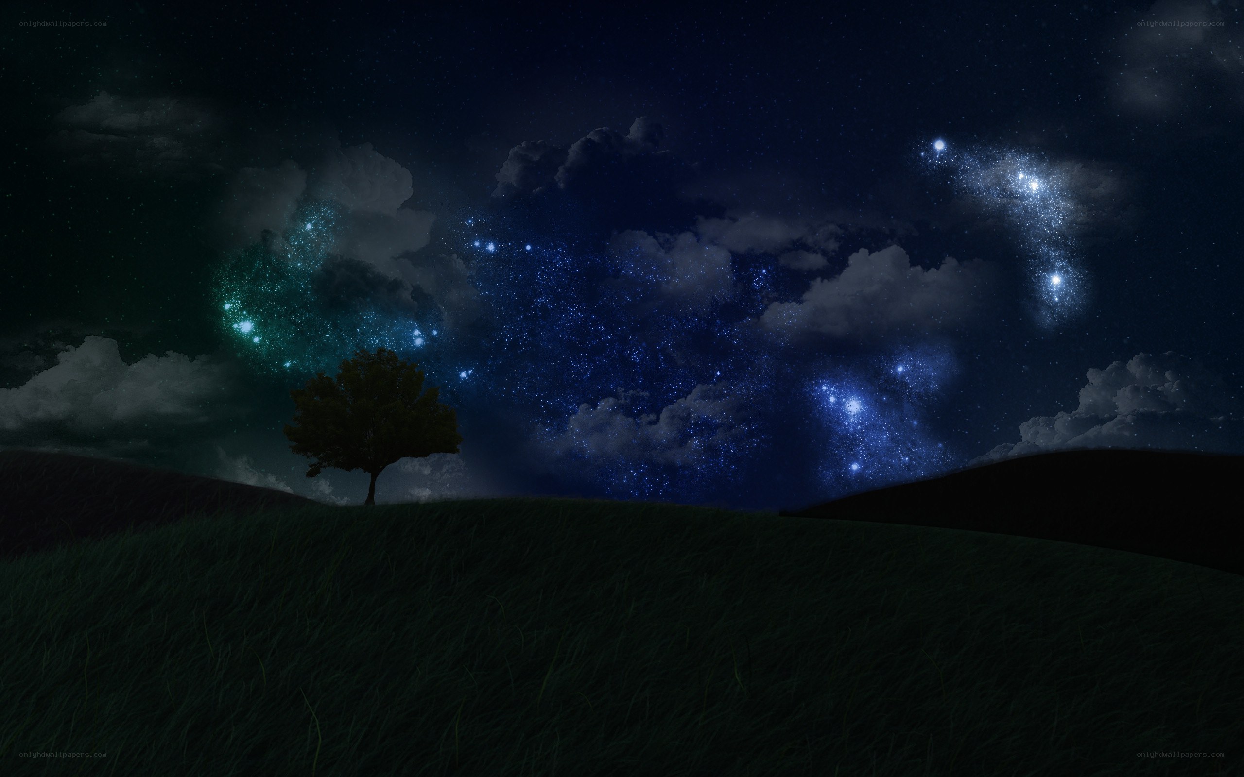 Starry night over a lone tree