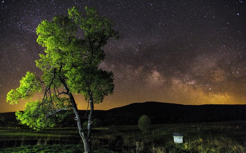 Starry night over a lone tree