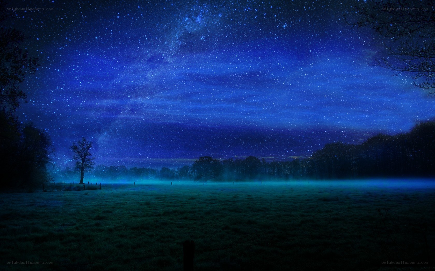 Starry night over a misty field