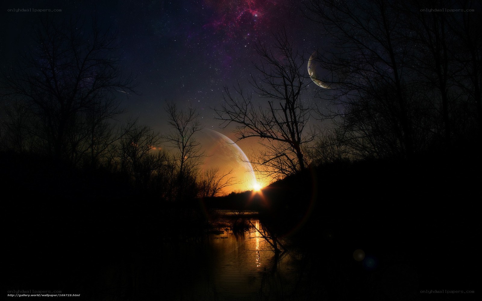 Starry night over a river