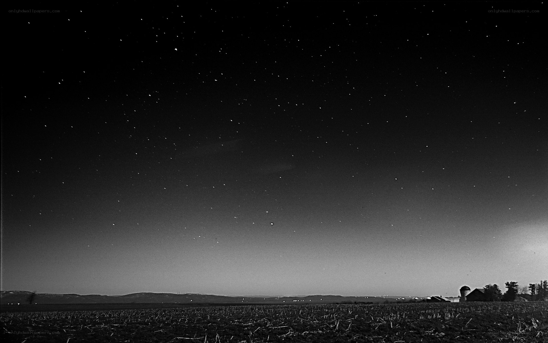 Starry night over a rural field