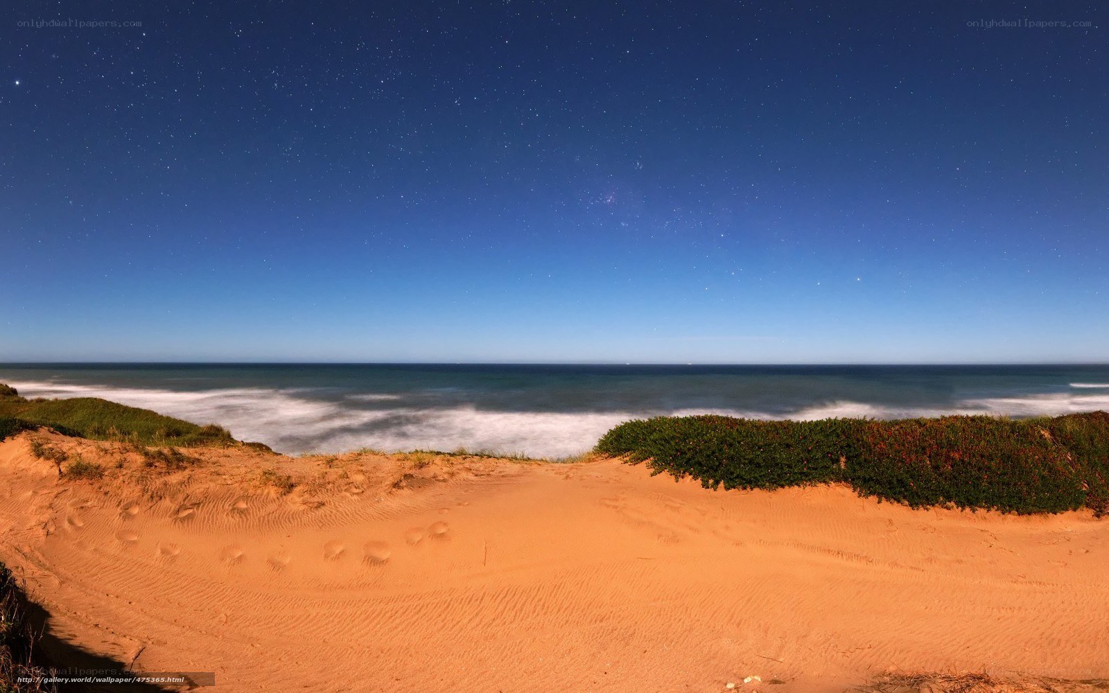 Starry night over coastal dunes