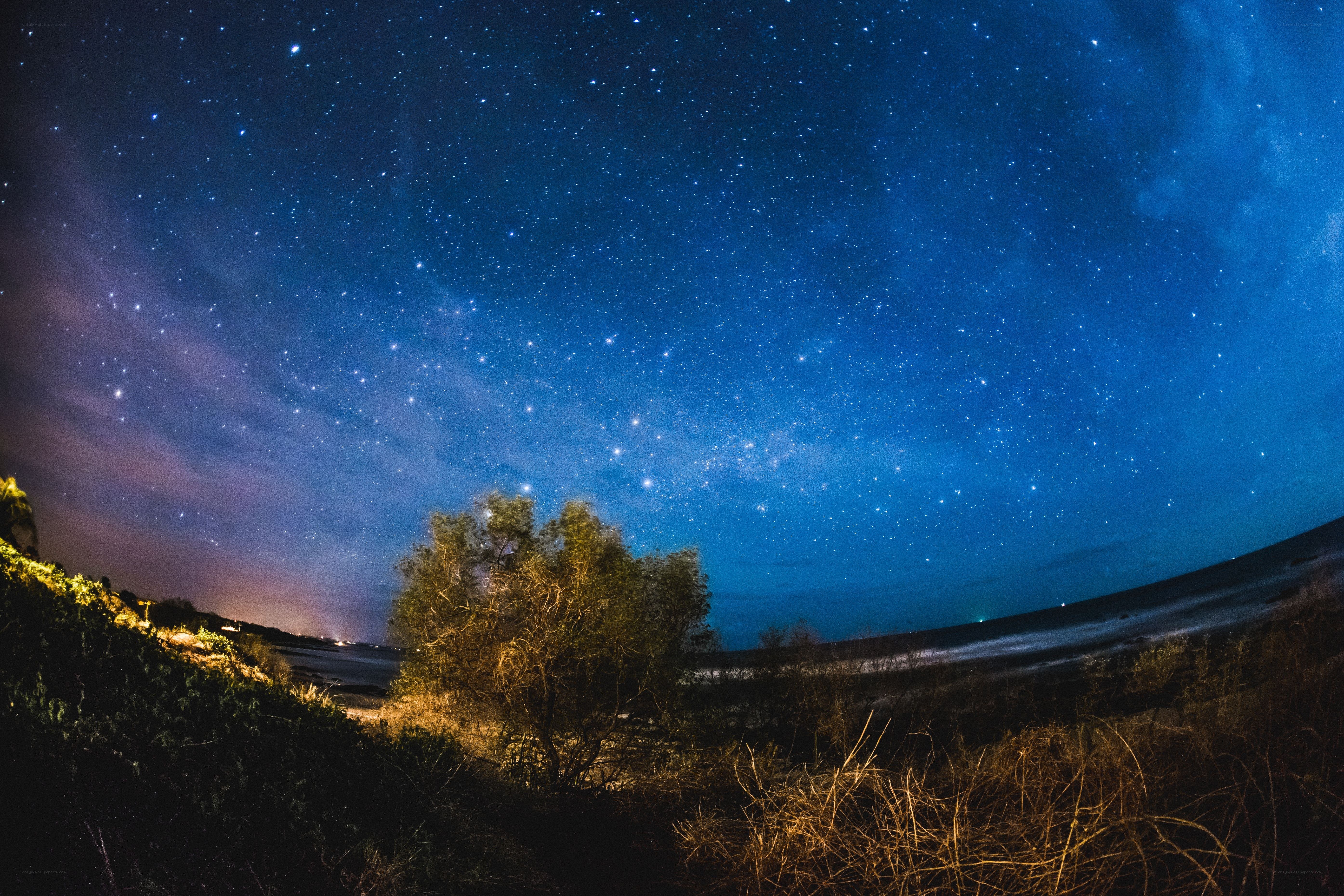Starry night over coastal landscape