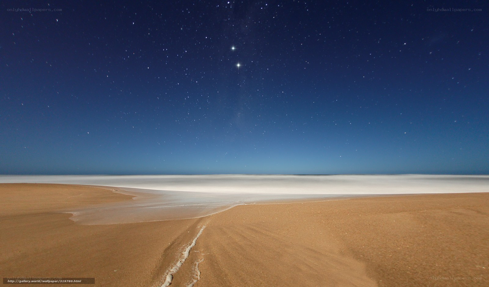 Starry night over desert beach