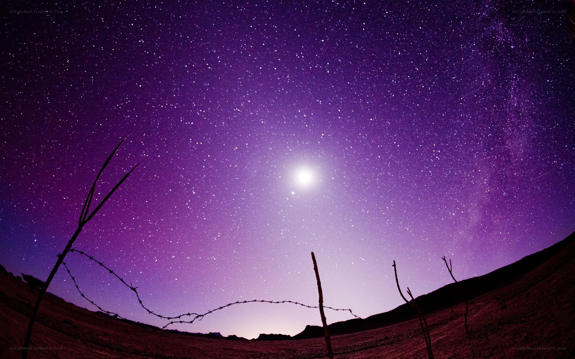 Starry night over desert landscape