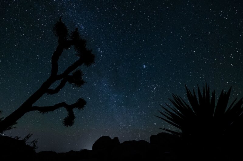 Starry night over desert