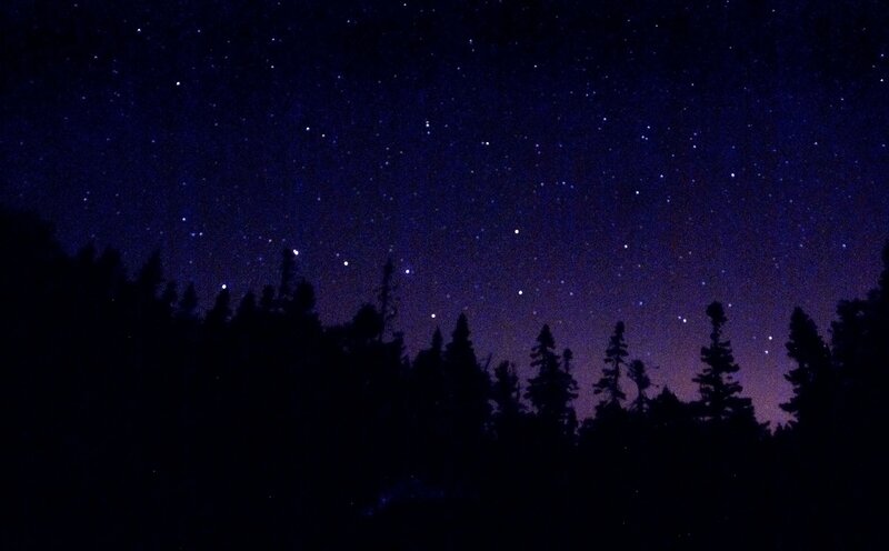 Starry night over forest
