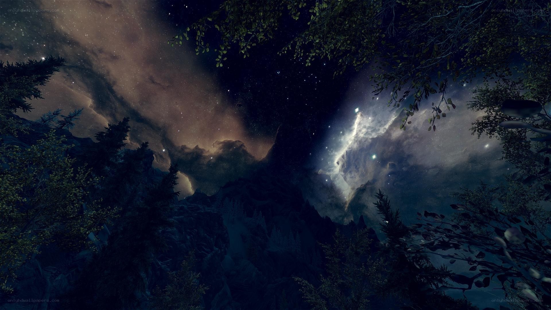 Starry night over forested mountains