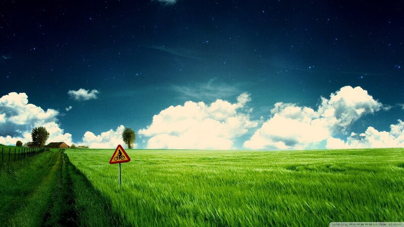 Starry night over green field