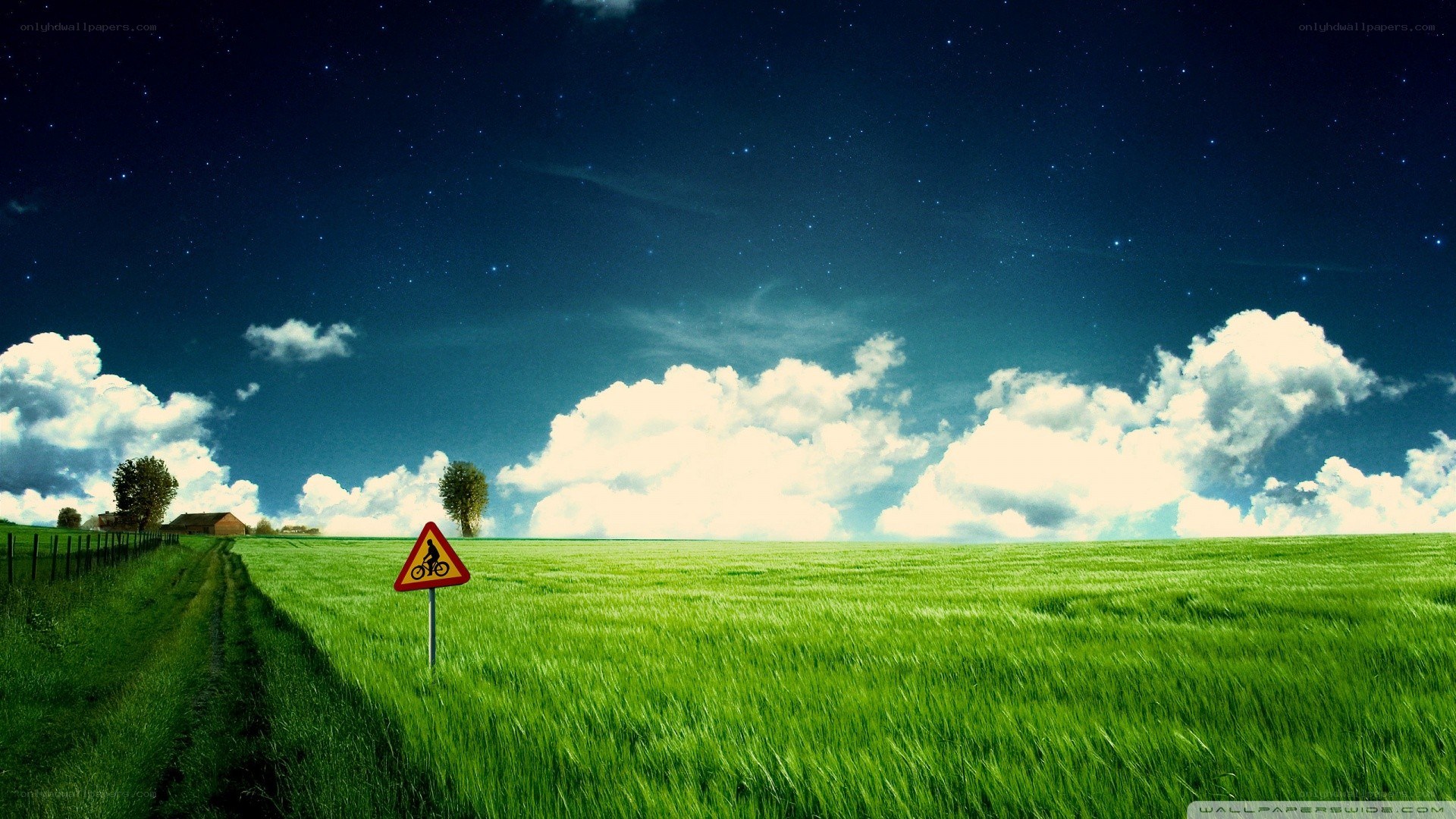 Starry night over green field
