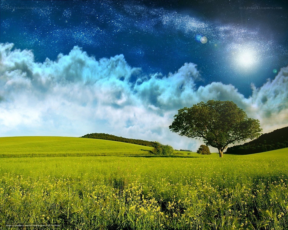Starry night over green field