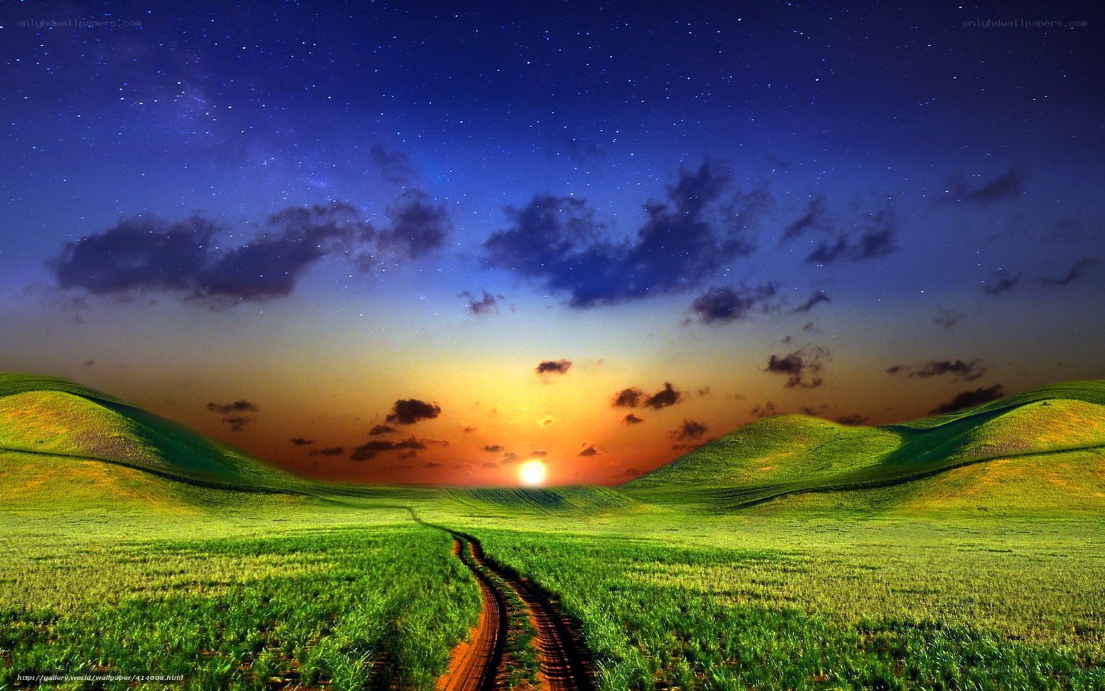 Starry night over green hills