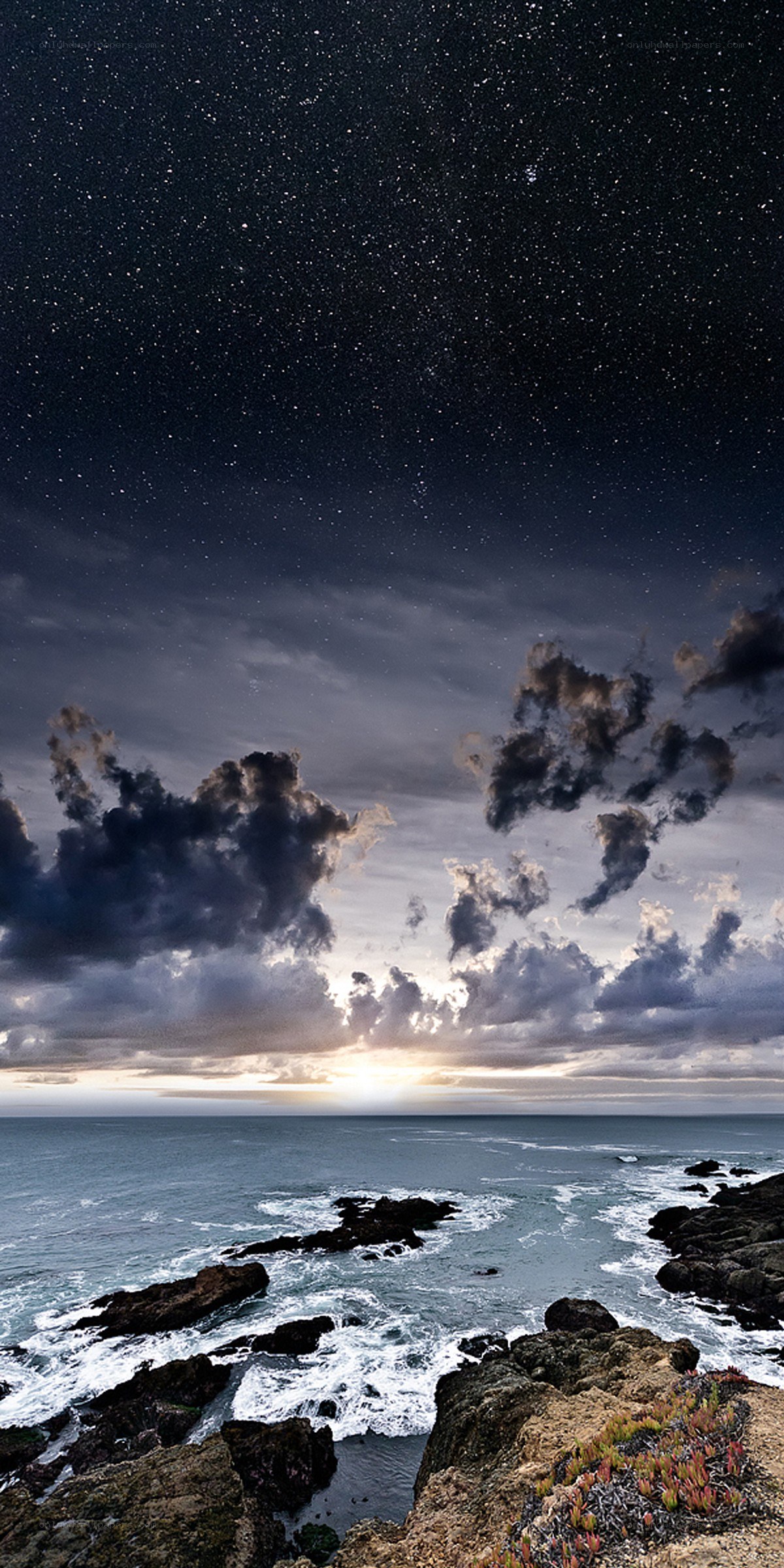 Starry night over rocky coast