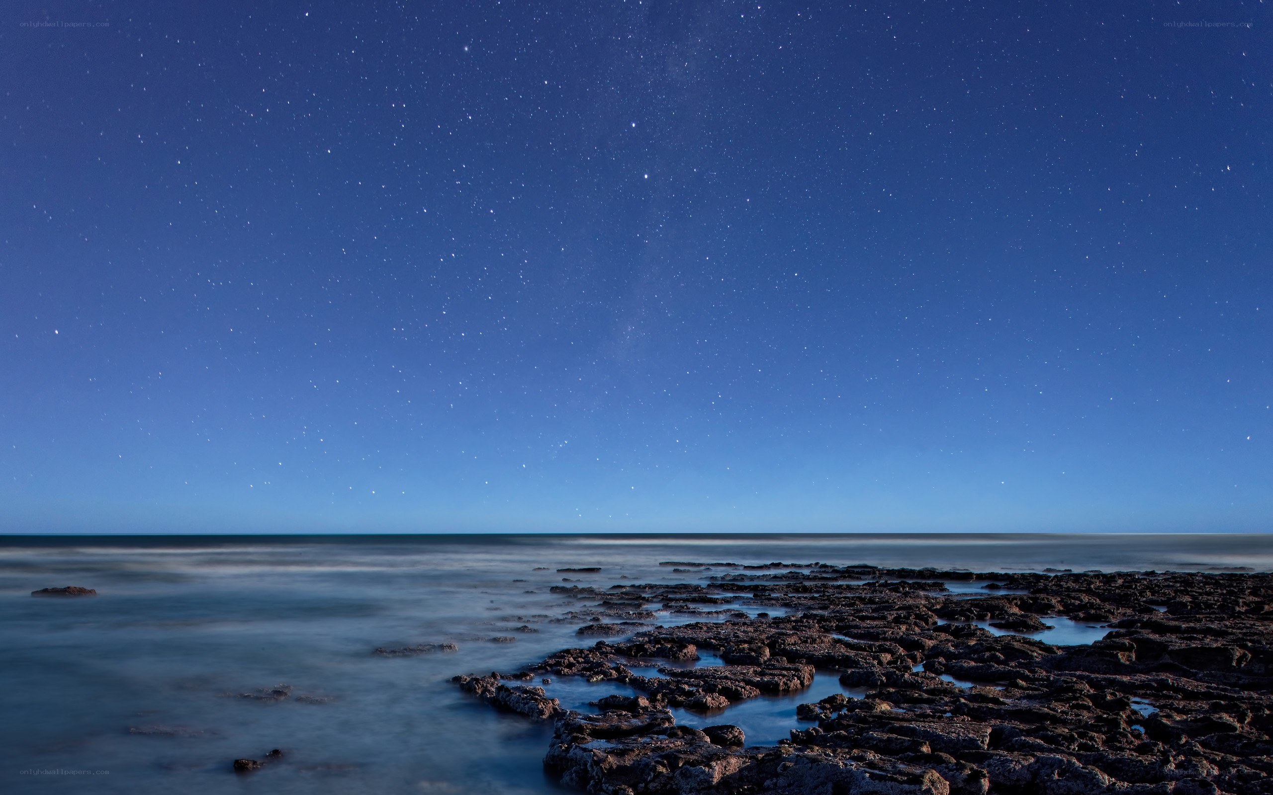 Starry night over rocky shore
