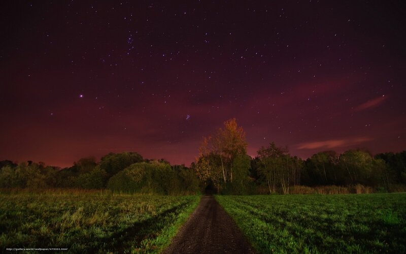 Starry night over rural path