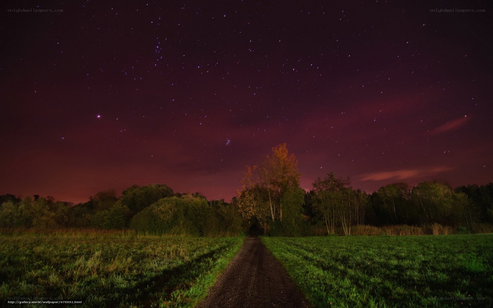 Starry night over rural path