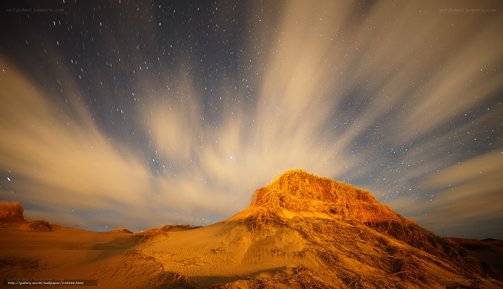 Starry night over sand dunes