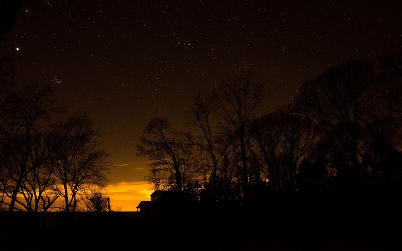 Starry night over silhouetted trees