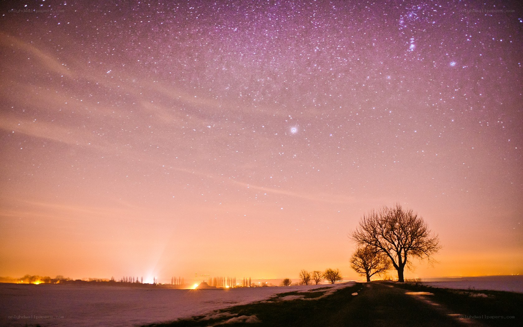 Starry night over snowy field
