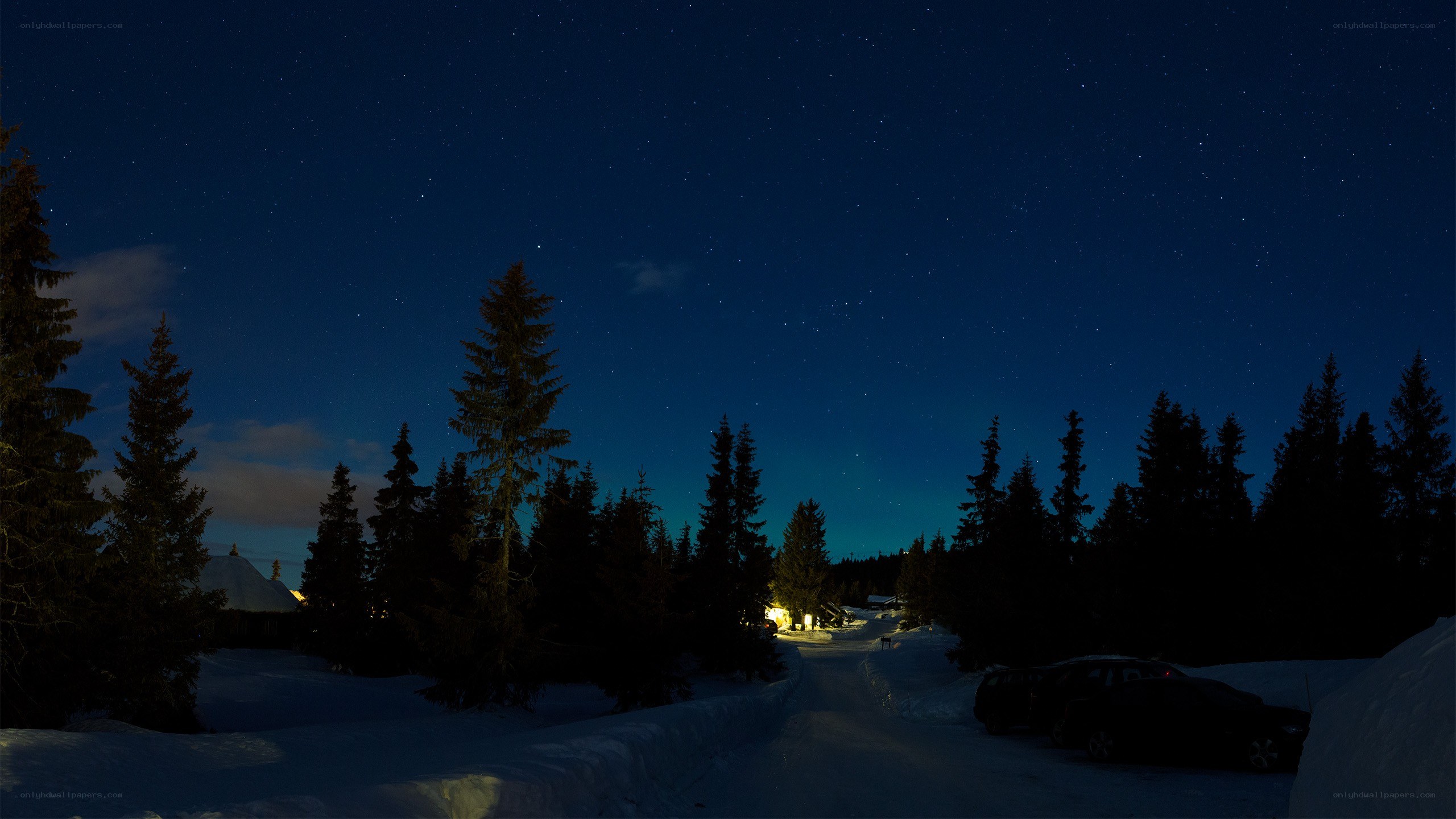 Starry night over snowy forest