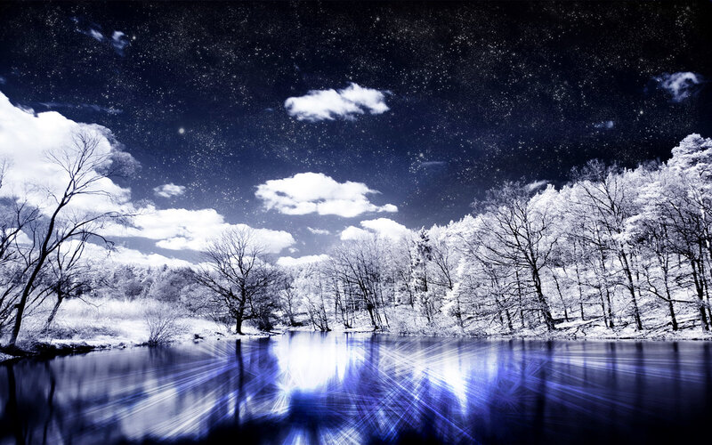 Starry night over snowy forest