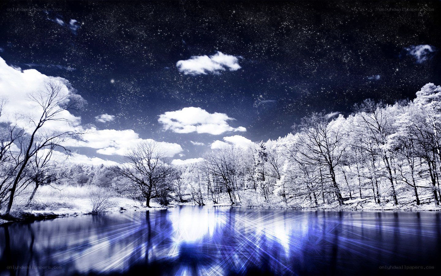 Starry night over snowy forest