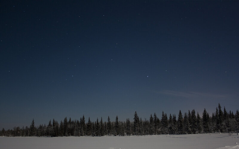 Starry night over snowy forest